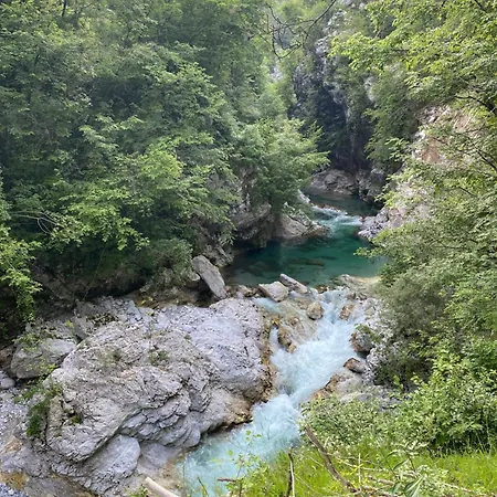 Edi Bovec