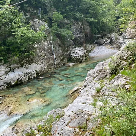 Edi Bovec