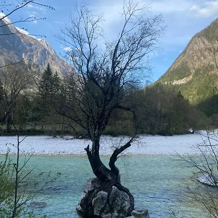 Edi * Bovec