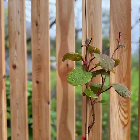 Edi Апартаменты